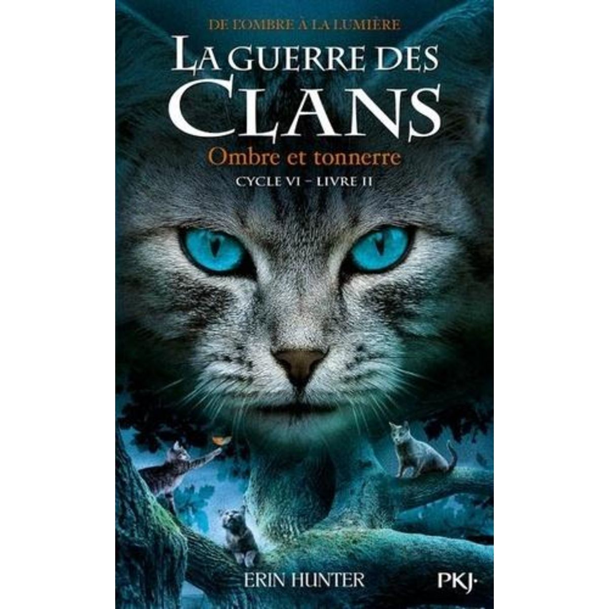 LA GUERRE DES CLANS : DE L'OMBRE A LA LUMIERE (CYCLE VI) TOME 2 : OMBRE ET TONNERRE, Hunter Erin