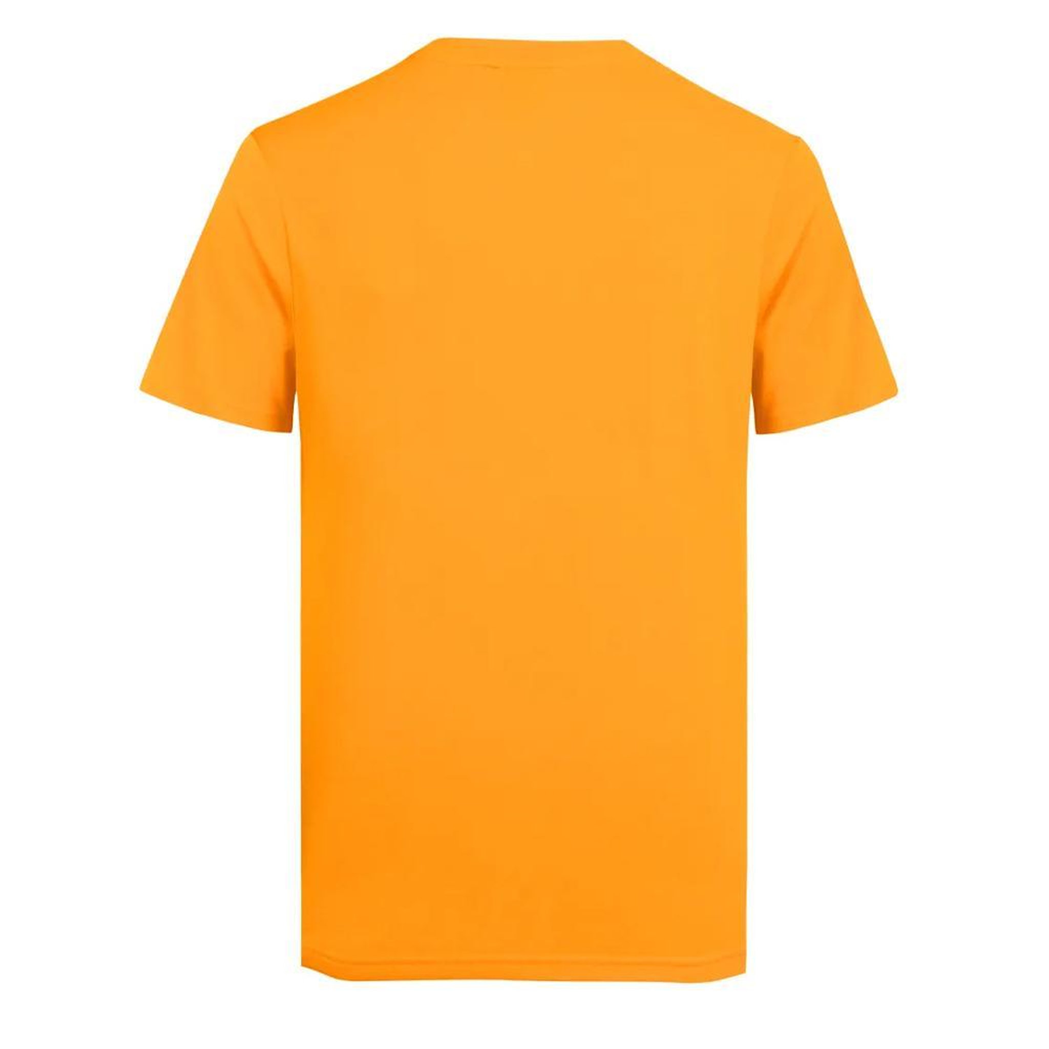 Voir la diapositive 2 : GOTCHA T shirt  Homme Gotcha Yards
