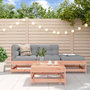 Voir la diapositive 1 : VIDAXL Salon de jardin 4 pcs bois massif douglas