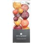 Voir la diapositive 2 : Paris Prix Guirlande Lumineuse Led  20 Boules  210cm Multicolore