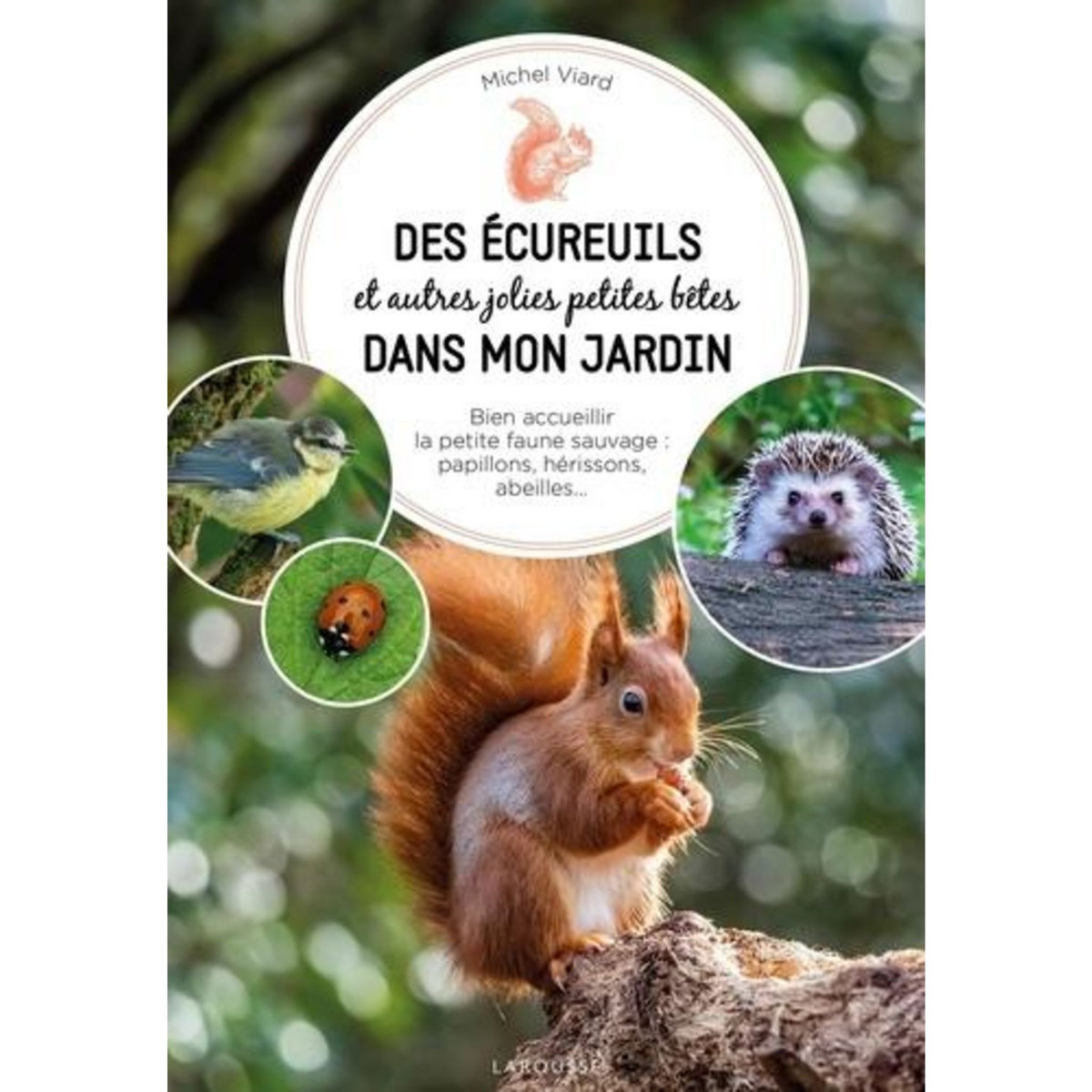 DES ECUREUILS ET AUTRES JOLIES PETITES BETES DANS MON JARDIN. BIEN ACCEUILLIR LA PETITE FAUNE SAUVAGE : PAPILLONS, HERISSONS, ABEILLES..., Viard Michel