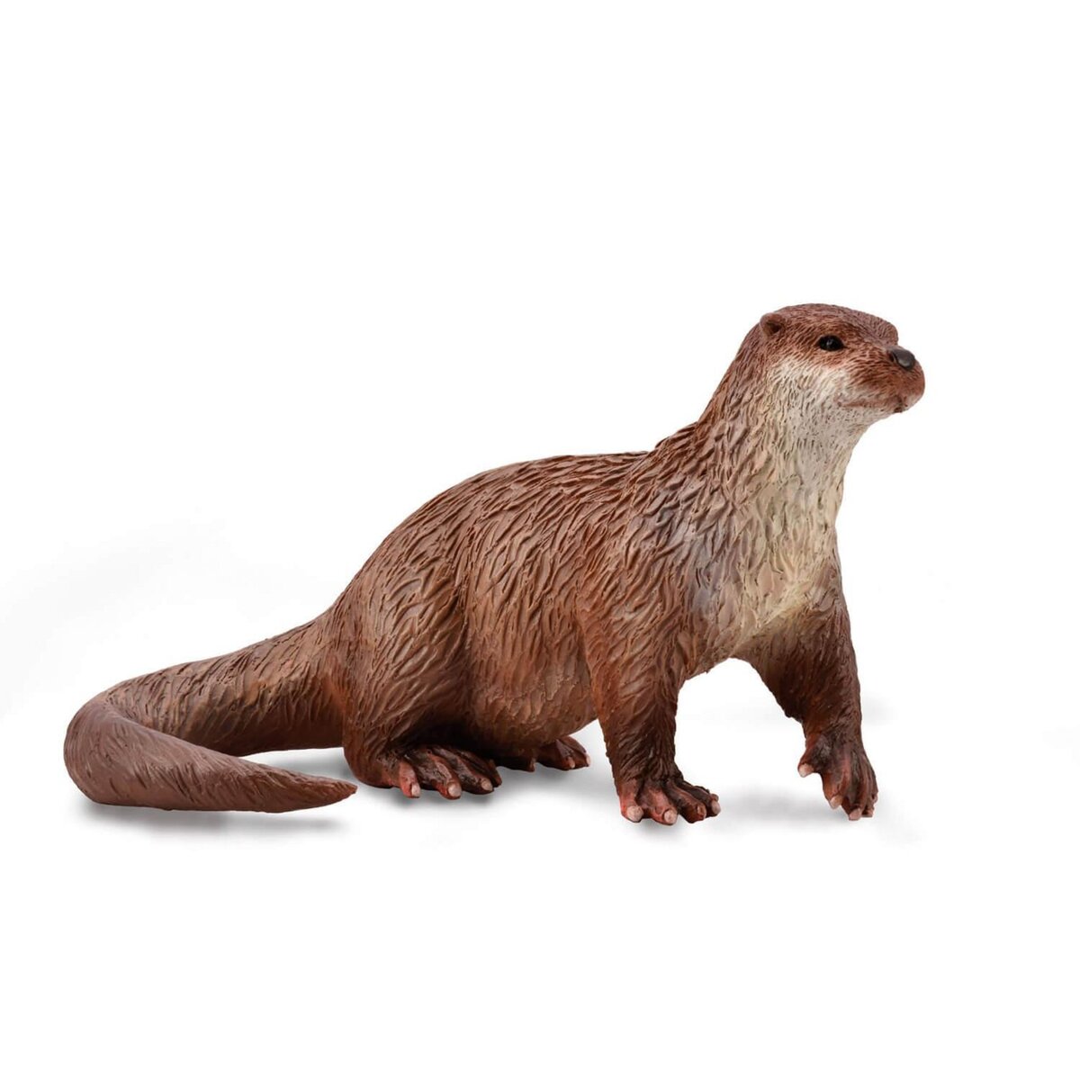 Figurines Collecta Figurine Animaux Sauvages : Loutre