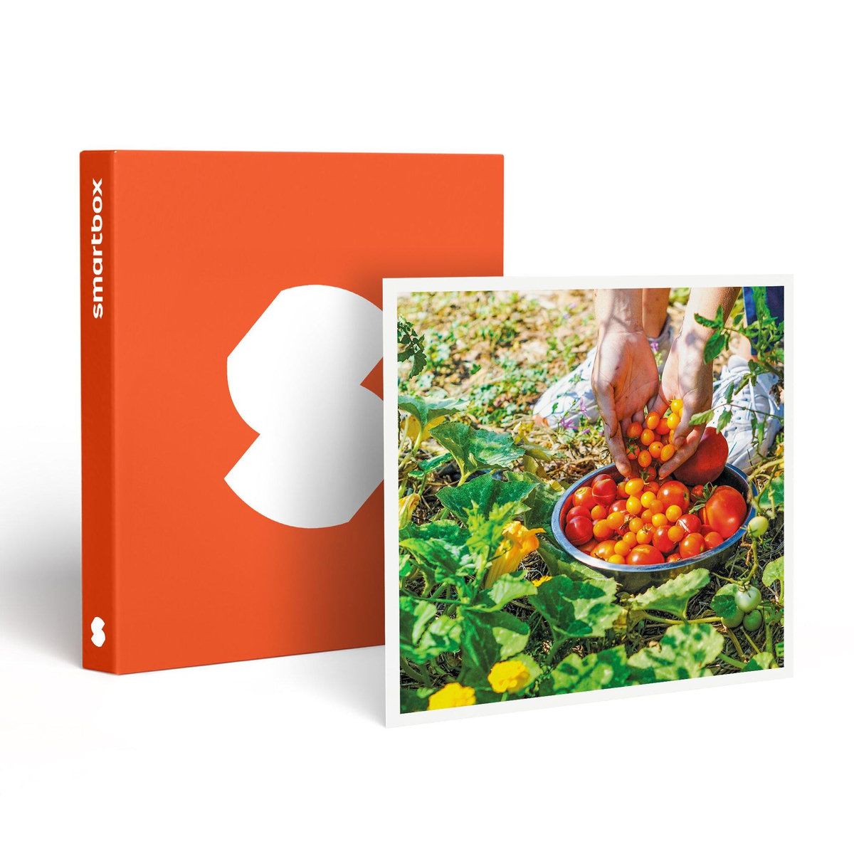 Smartbox Atelier écologique de permaculture et visite guidée d'une ferme à Montpellier - Coffret Cadeau Sport & Aventure