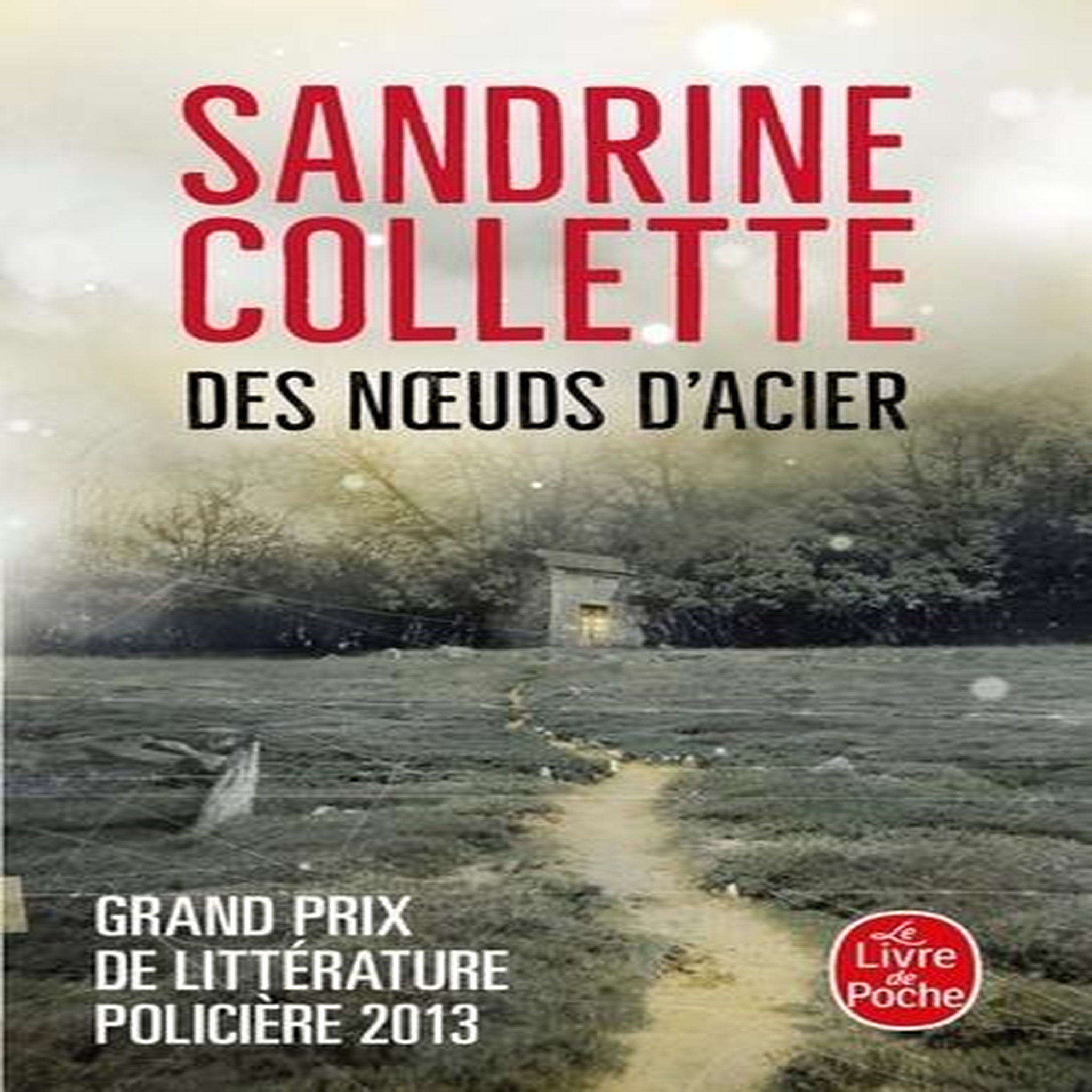 DES NOEUDS D'ACIER, Collette Sandrine