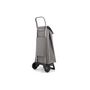 Voir la diapositive 3 : Rolser Poussette de marché 2 roues 40l gris - JET038GRIS
