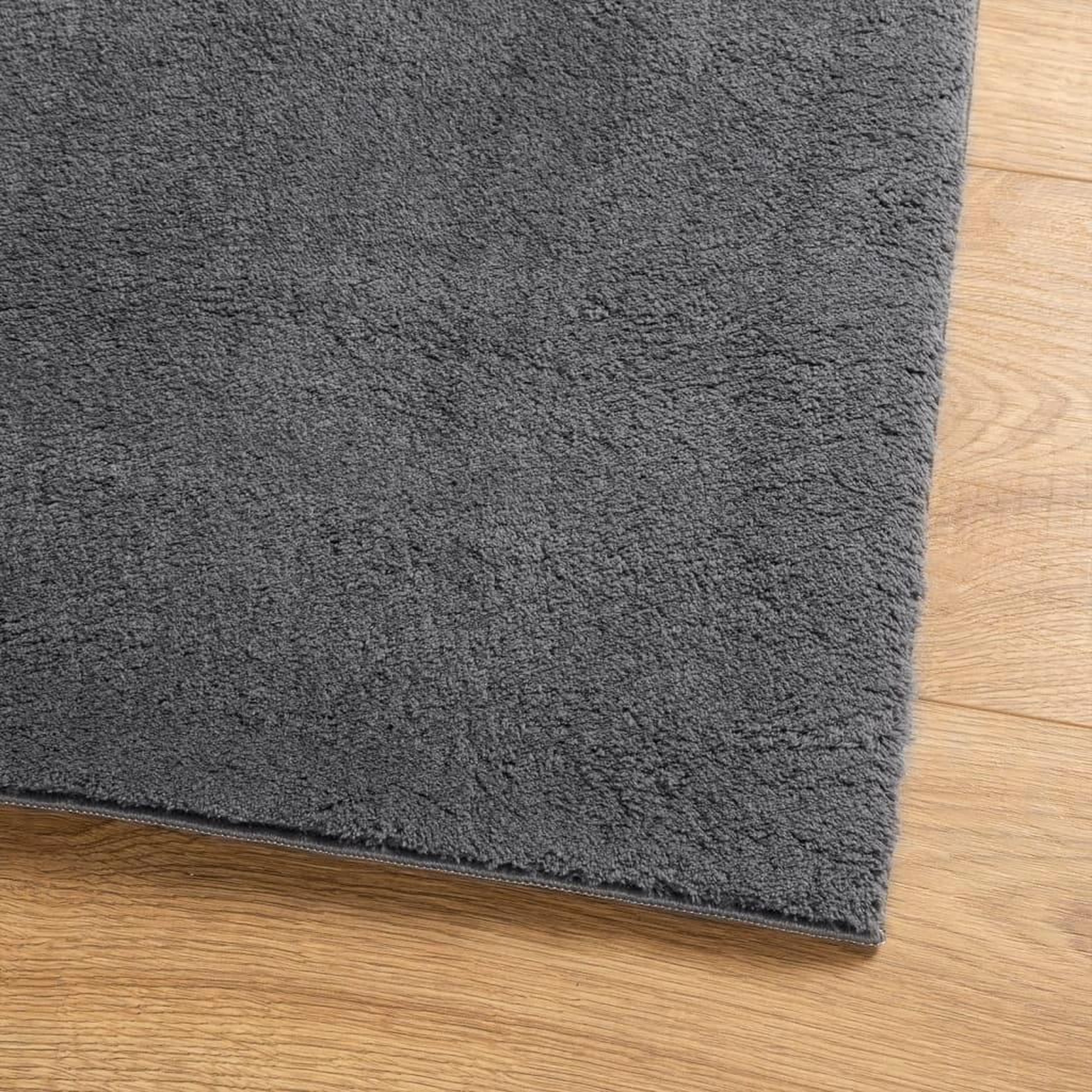 Voir la diapositive 4 : VIDAXL Tapis HUARTE a poils courts doux lavable anthracite 240x340 cm
