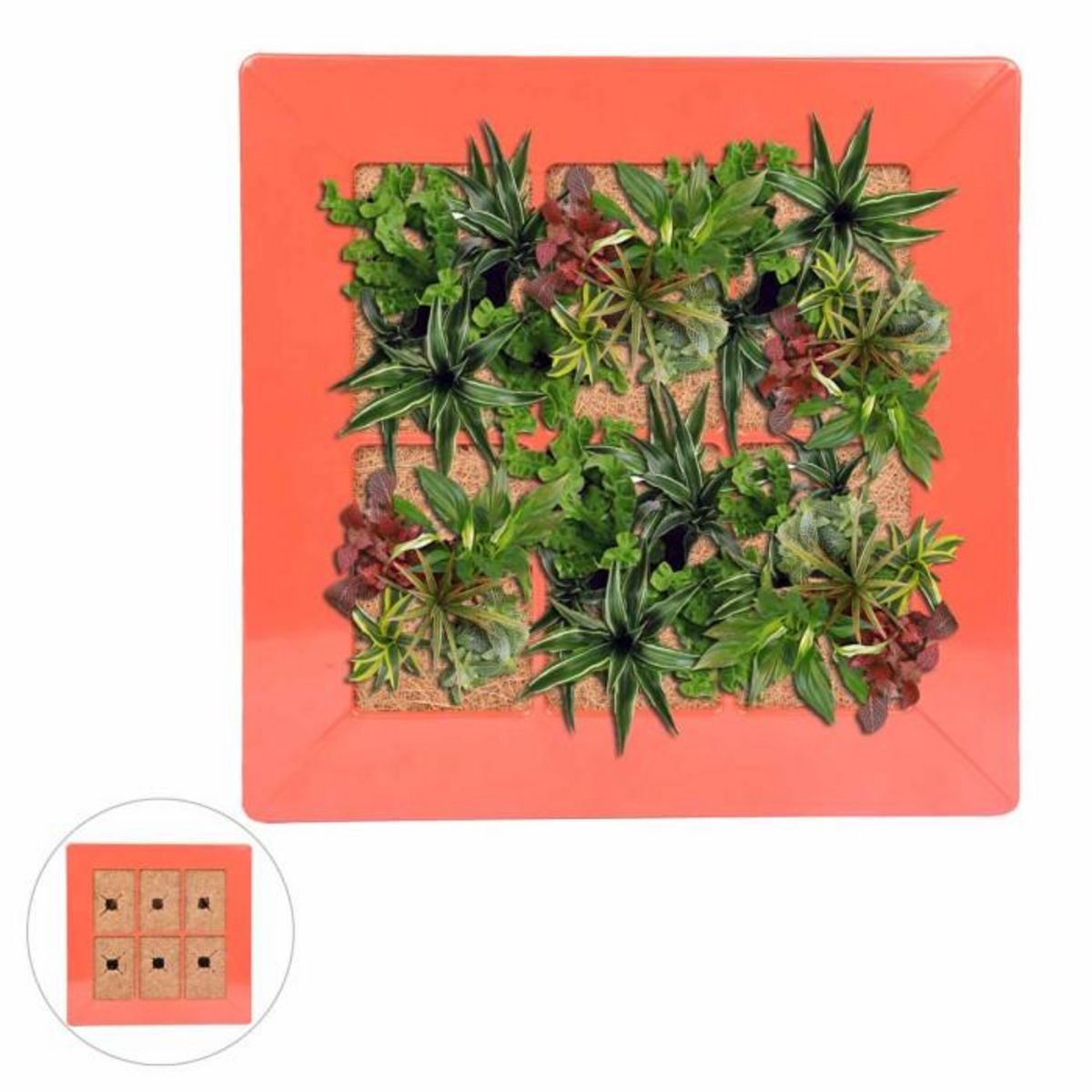 Paris Prix Cadre Mural Végétal  Arboré  37cm Rouge