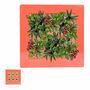Voir la diapositive 1 : Paris Prix Cadre Mural Végétal  Arboré  37cm Rouge