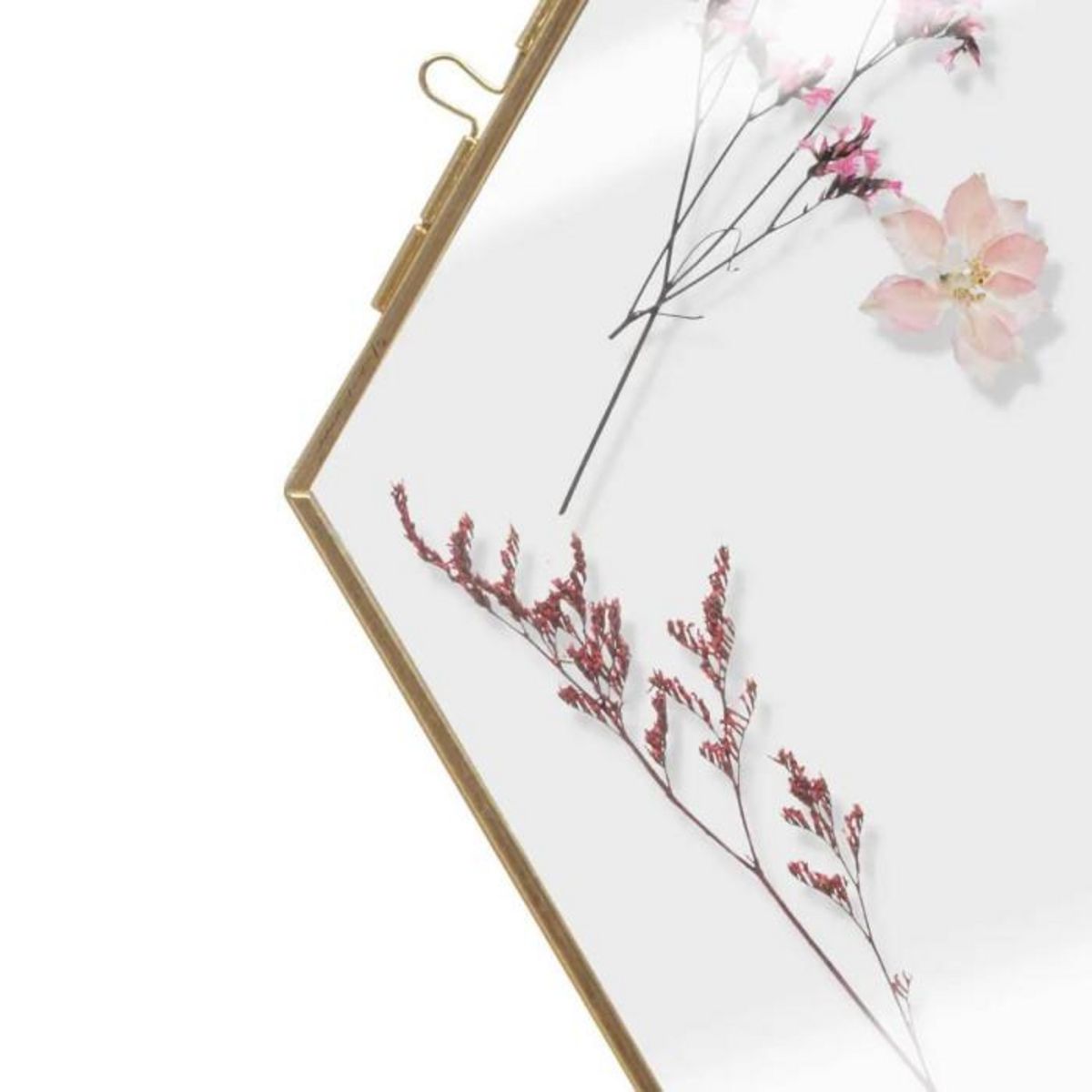 ATMOSPHERA Décoration Murale Fleurs Séchées  Cléa  25cm Or