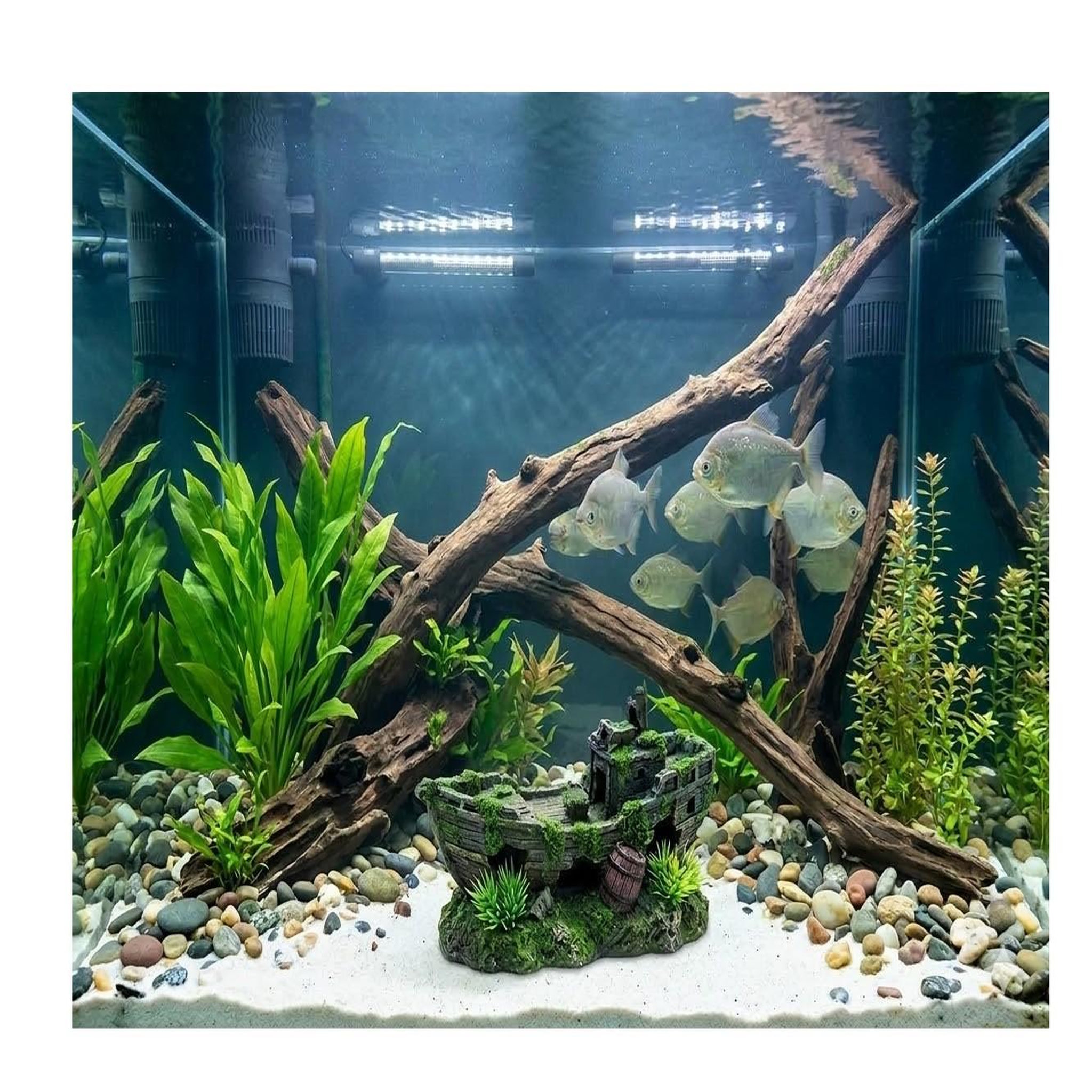 Voir la diapositive 2 : Eden Décoration aquarium épave de bateau cachettes effet mousse