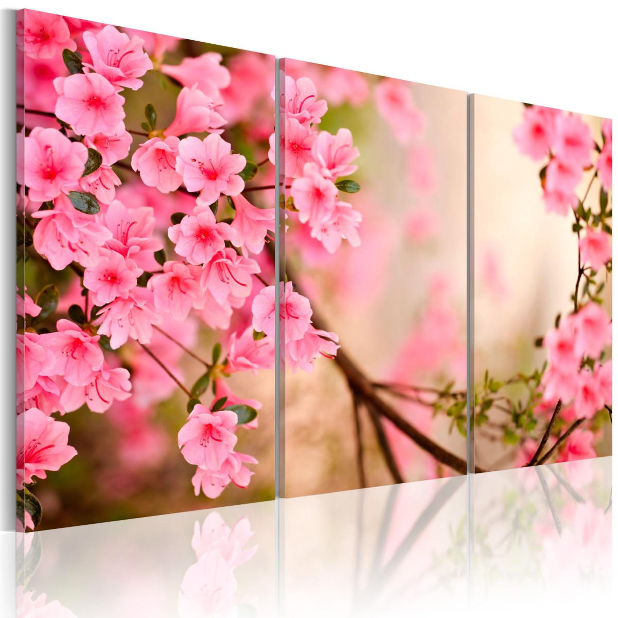 Paris Prix Tableau imprimé  fleur de cerisier. Coloris disponibles : Multicolore