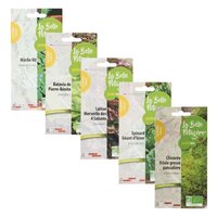 Coffret graines à semer légumes oubliés