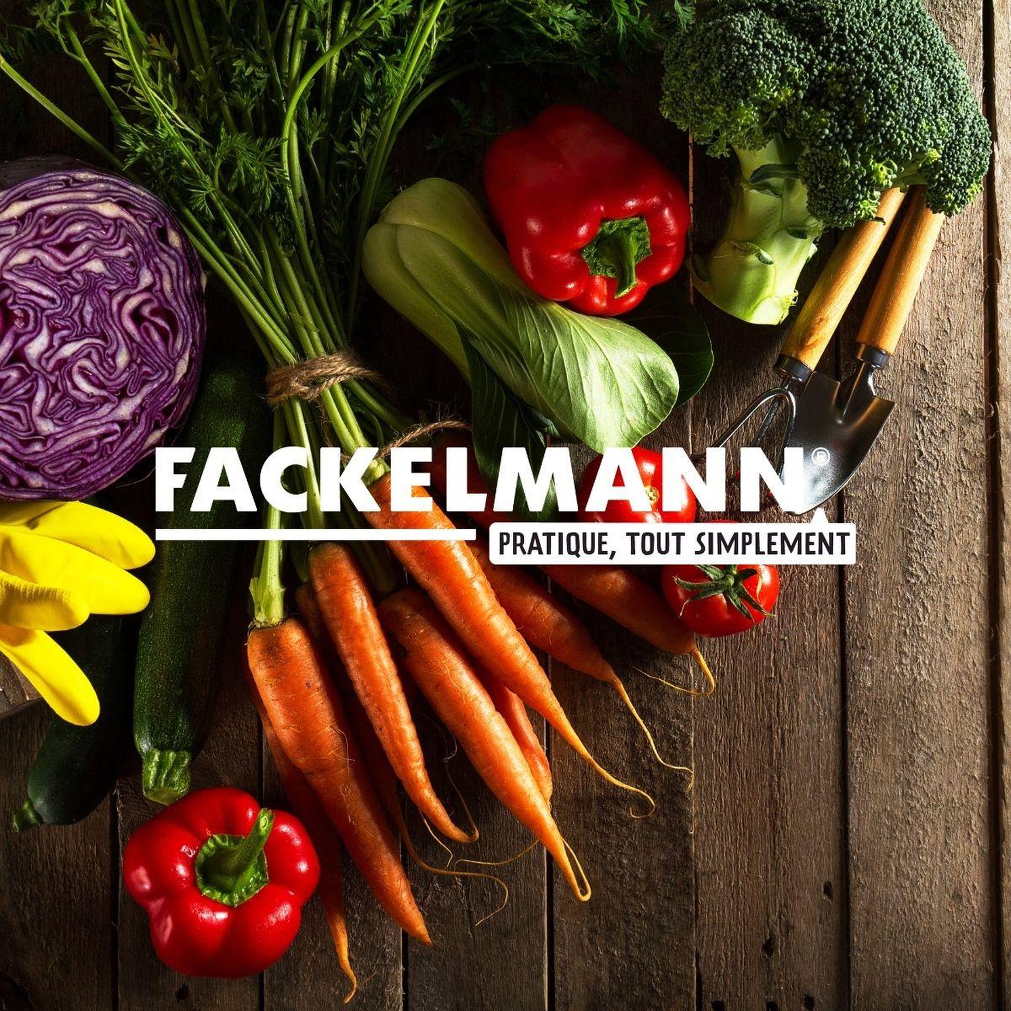 Voir la diapositive 6 : Fackelmann Cuillère à glace avec fonction éjection fackelmann summer party