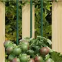VIDAXL Piquets pour plantes de jardin 30 pcs vert 60 cm acier