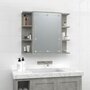 Voir la diapositive 4 : VIDAXL Armoire a miroir avec LED Gris beton 70x16,5x60 cm