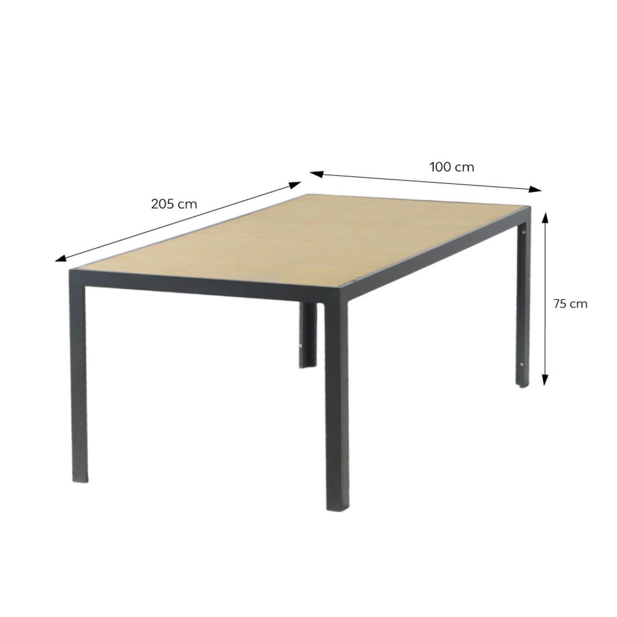 Voir la diapositive 3 : CONCEPT USINE Ensemble table de jardin 200 cm en aluminium et 10 chaises pliantes LAGOS