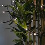  Guirlande lumineuse extérieure de Noël 18m de long, 180 LED, 8 modes