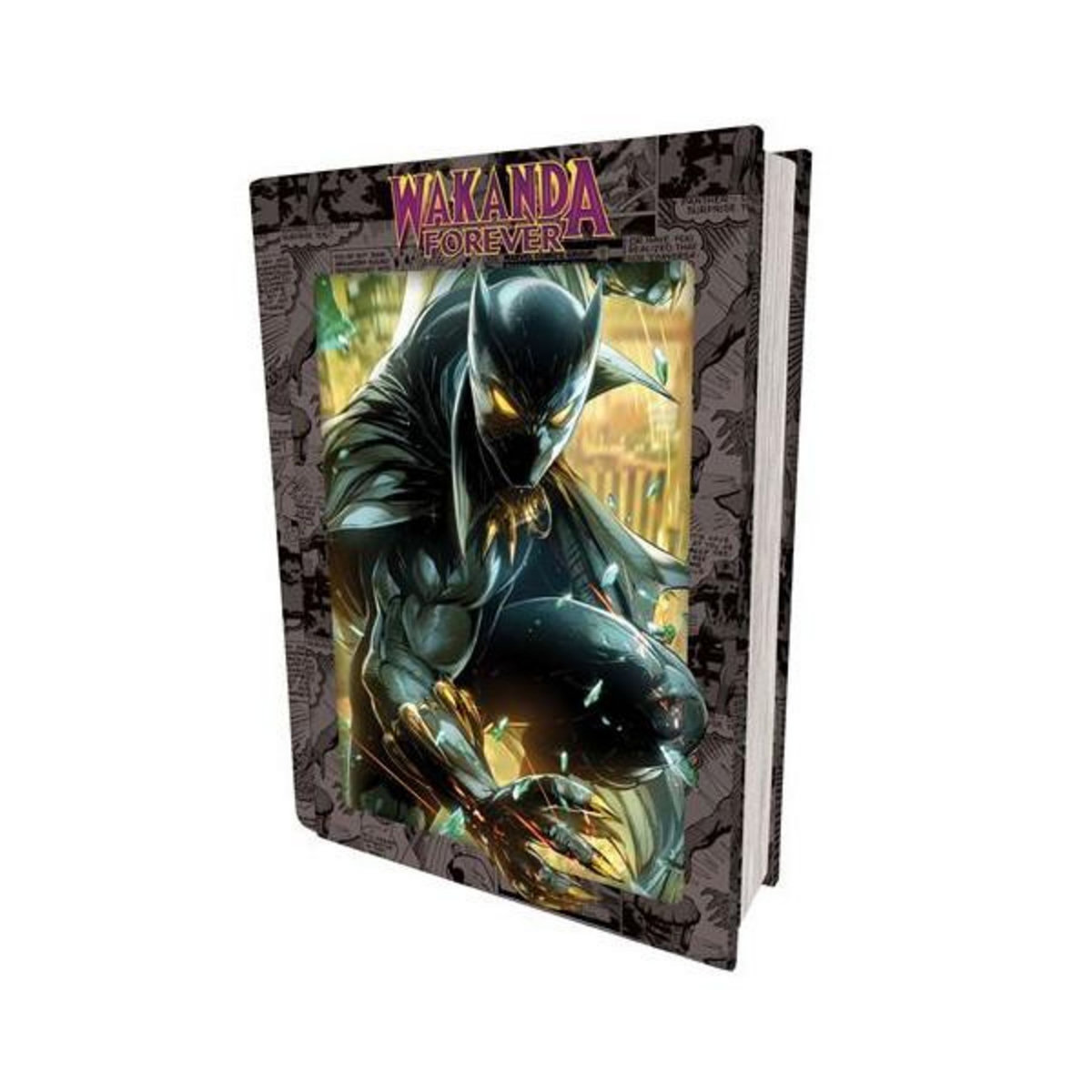 PRIME 3D Puzzle 300 pièces Prime 3D Avengers Wakanda Forever Boîte métal