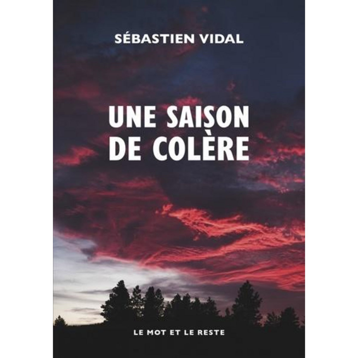 UNE SAISON DE COLERE, Vidal Sébastien