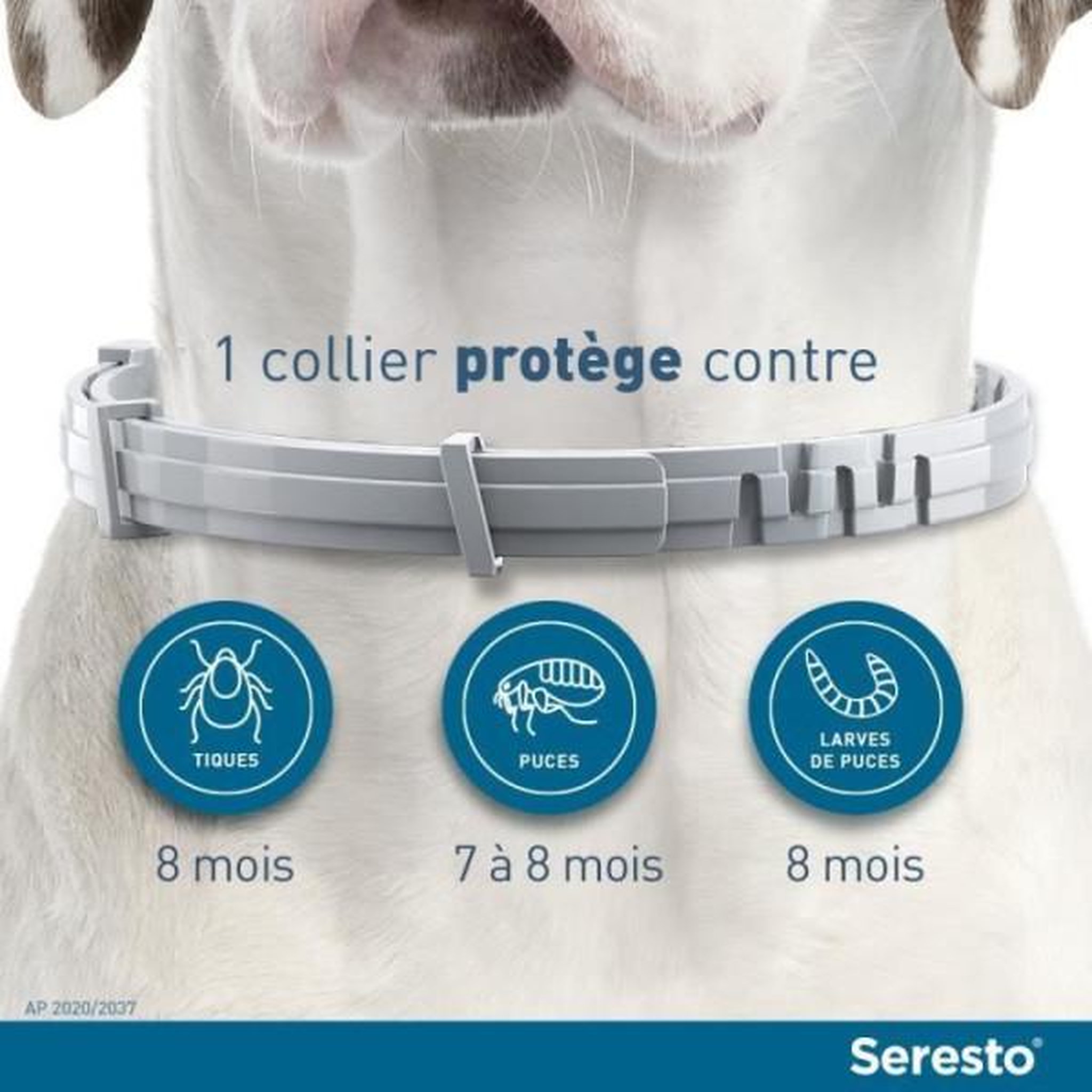 Voir la diapositive 2 : Seresto Seresto chien collier anti-puces et anti-tiques -8kg 2 unités