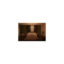 Voir la diapositive 5 : PHILIPS HUE Ampoules connectées Philips Hue ampoule White Ambiance 7W Edison Giant Filament E27x1