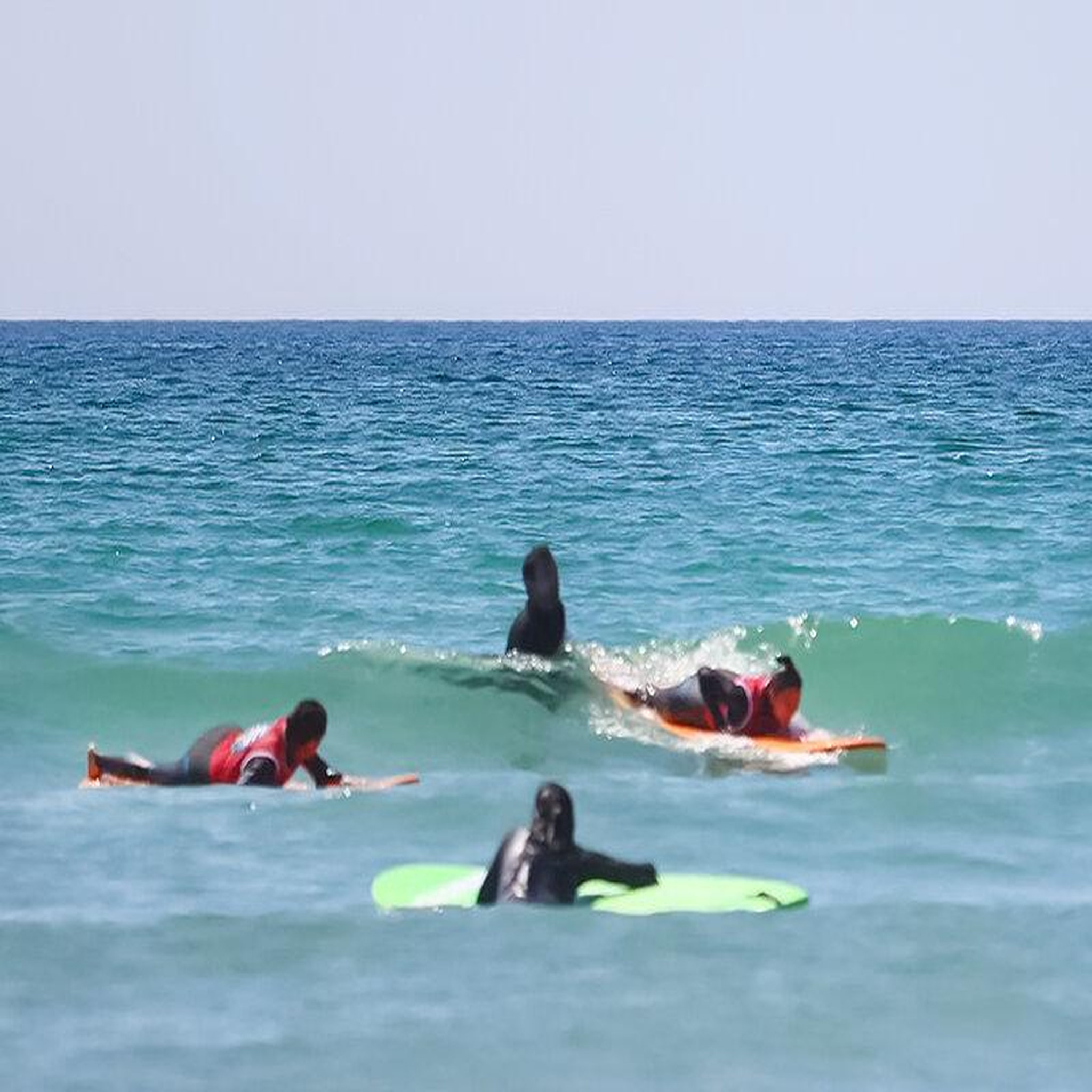 Voir la diapositive 3 : Smartbox Surf en famille : leçon d'1h30 pour 2 adultes et 2 enfants dans la baie d'Audierne - Coffret Cadeau Sport & Aventure