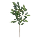 ATMOSPHERA Tige de Feuilles Artificielles  Camélia  70cm Vert