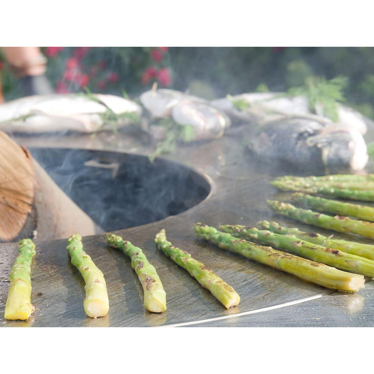 ARTISS DESIGN Brasero G2 Graphite plaque acier carbone - Artiss