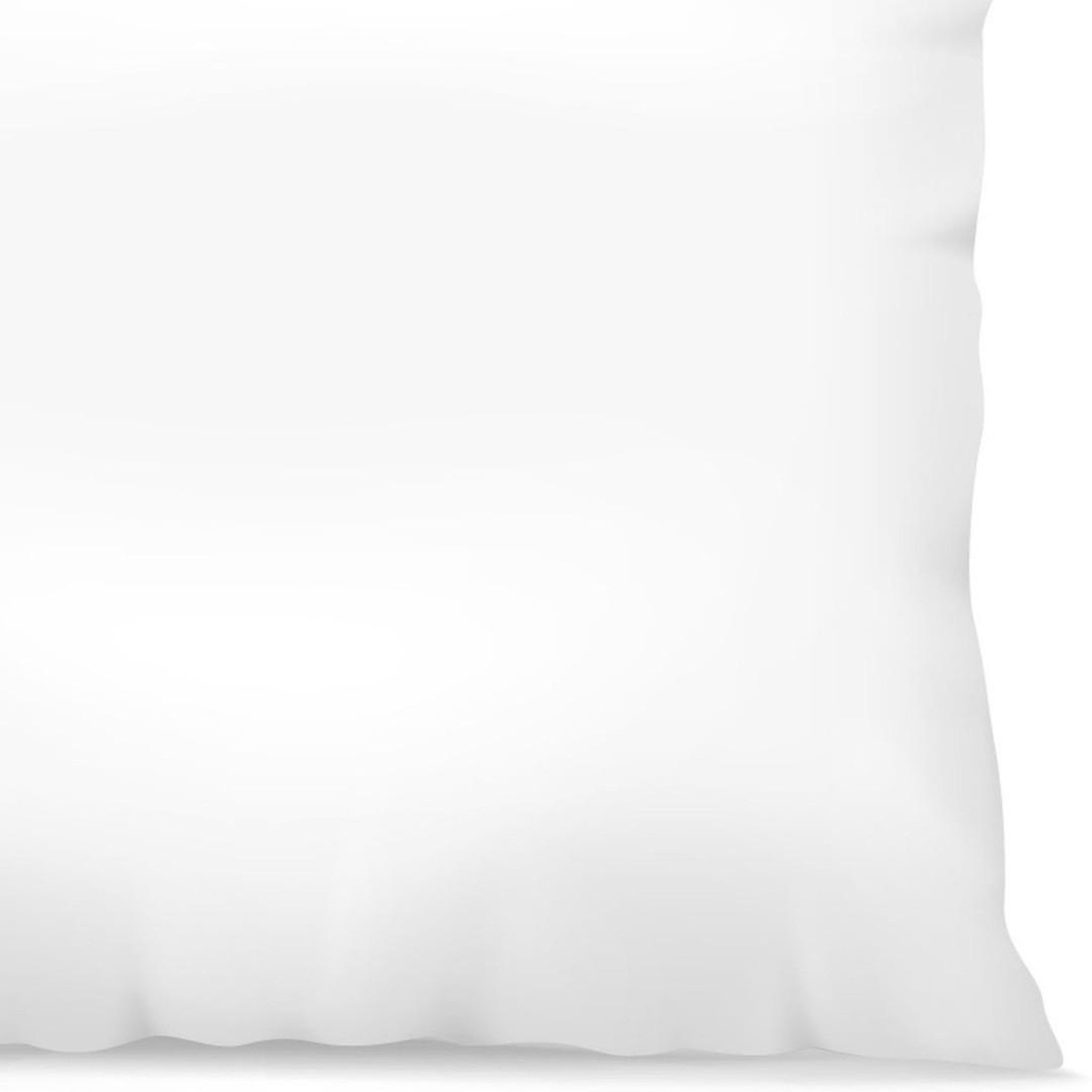 Voir la diapositive 2 : Home collection Oreiller moelleux blanc 60x60cm 100%coton percale fab.française