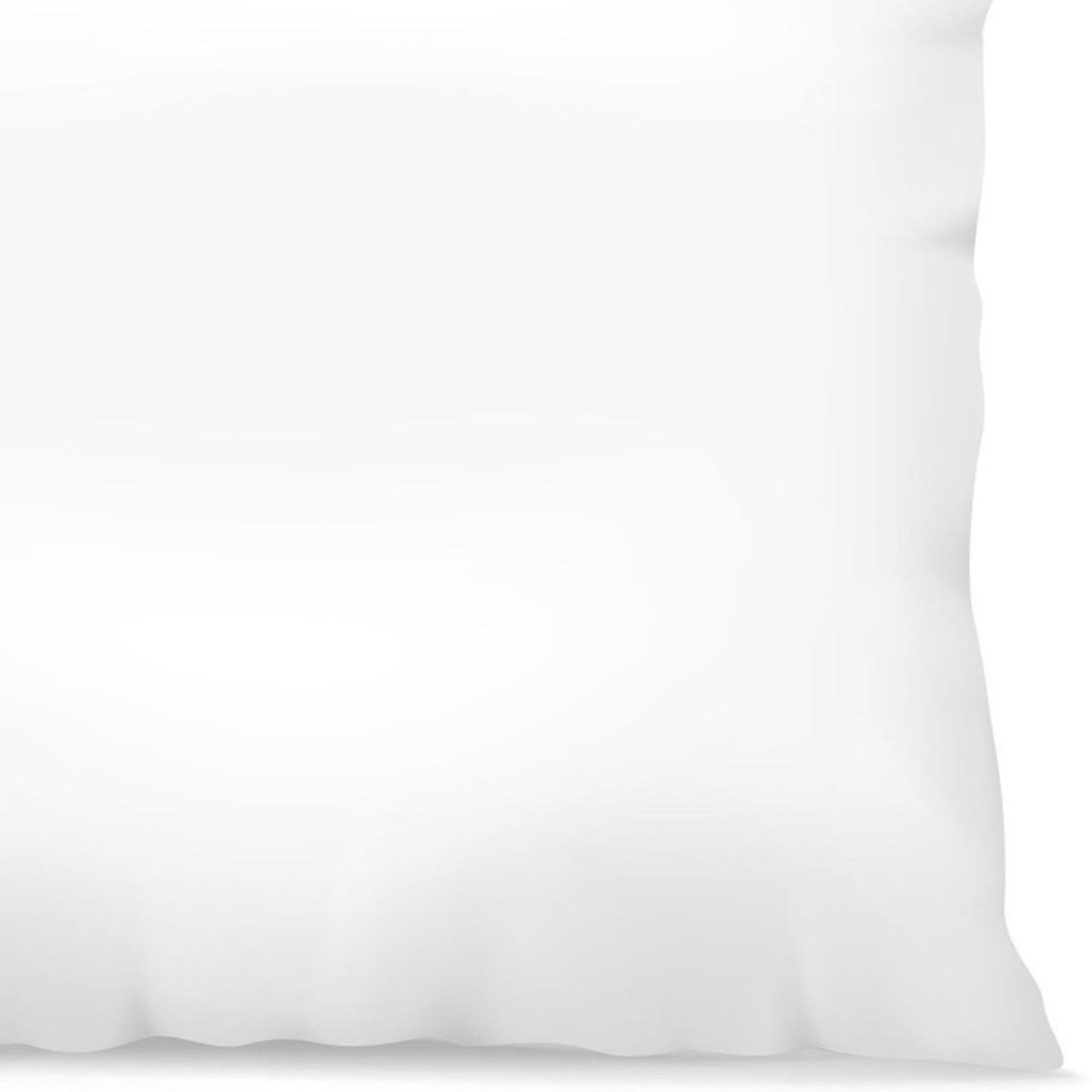 Home collection Oreiller moelleux blanc 60x60cm 100%coton percale fab.française