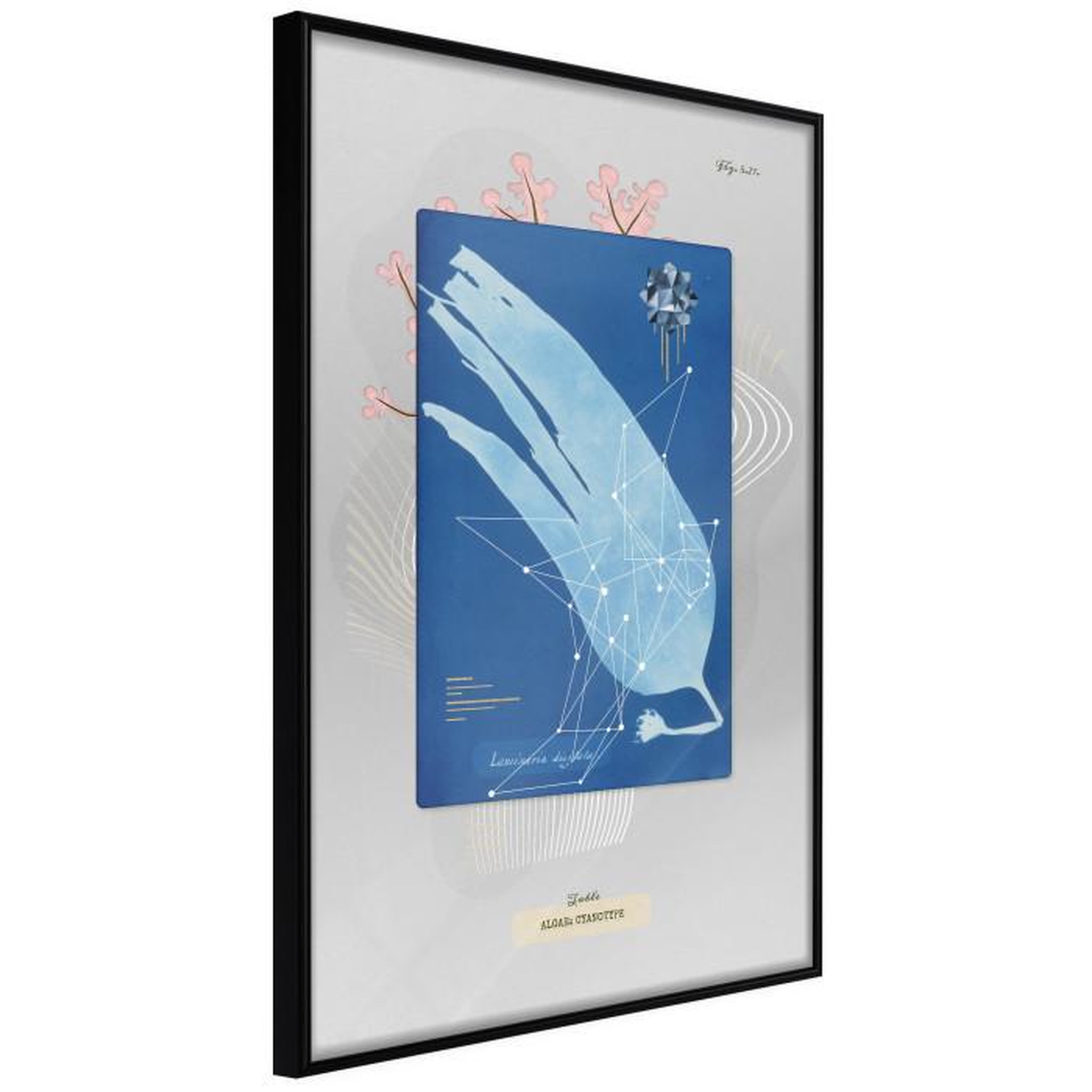 Paris Prix Affiche Murale Encadrée  Alga Cyanotype. Coloris disponibles : Jaune, Noir