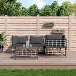 VIDAXL Salon de jardin 5 pcs avec coussins anthracite resine tressee