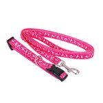 DIVERS Collier laisse - Taille S. Coloris disponibles : Vert