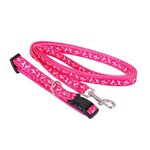 DIVERS Collier laisse - Taille S. Coloris disponibles : Vert