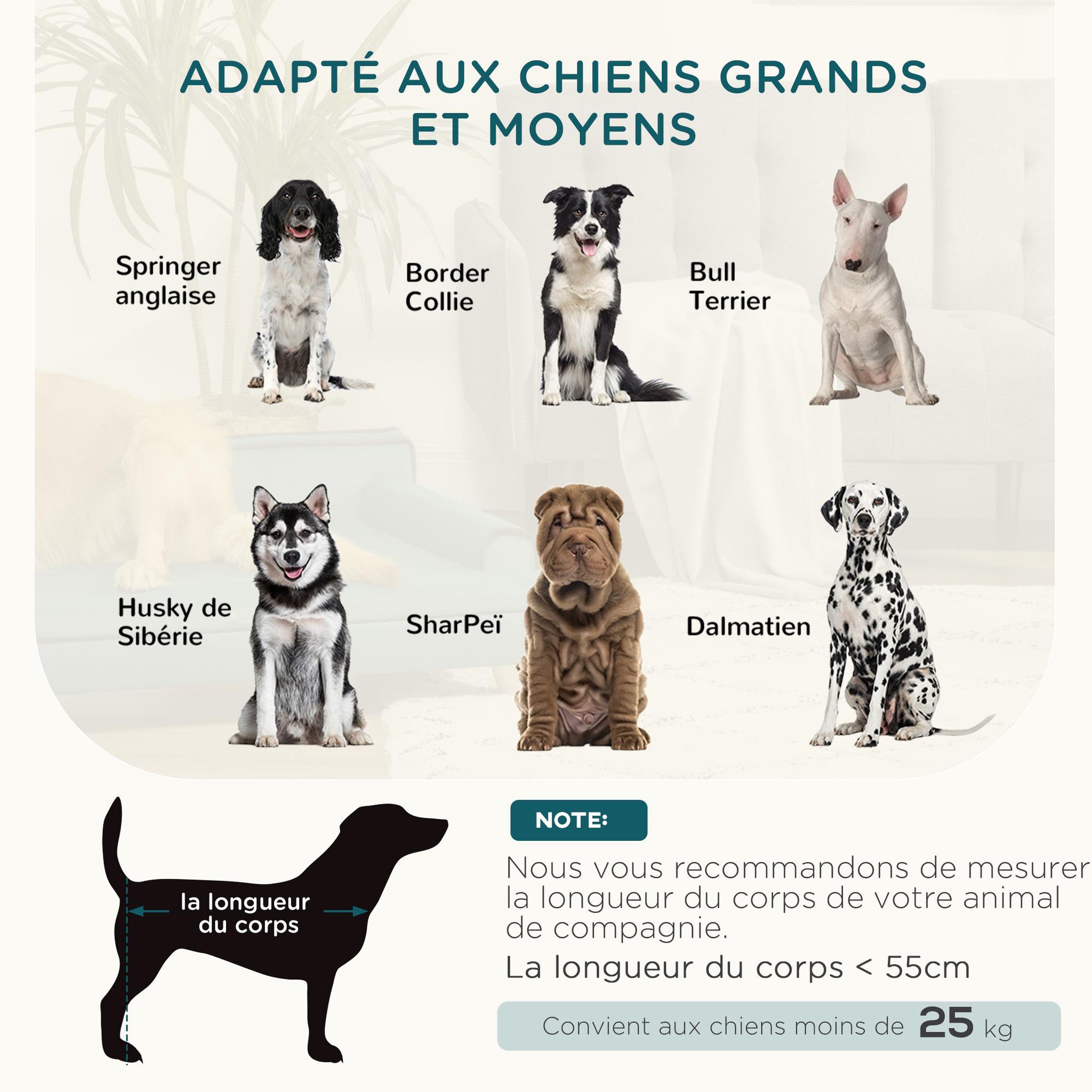 Voir la diapositive 4 : PAWHUT Canapé chien lit pour chien design scandinave coussin moelleux piètement bois dim. 100l x 62l x 32h cm polyester bleu canard