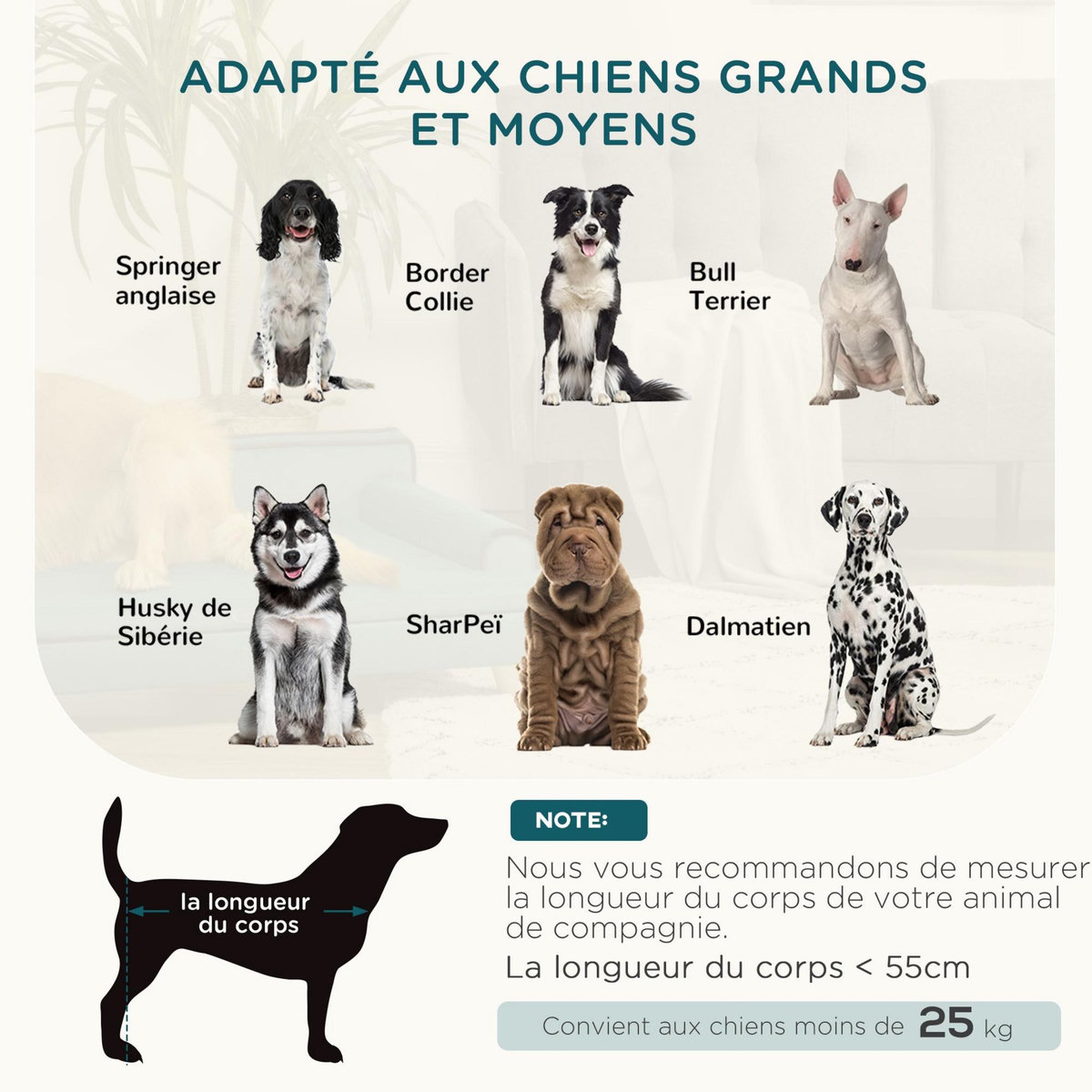 PAWHUT Canapé chien lit pour chien design scandinave coussin moelleux piètement bois dim. 100L x 62l x 32H cm polyester bleu canard