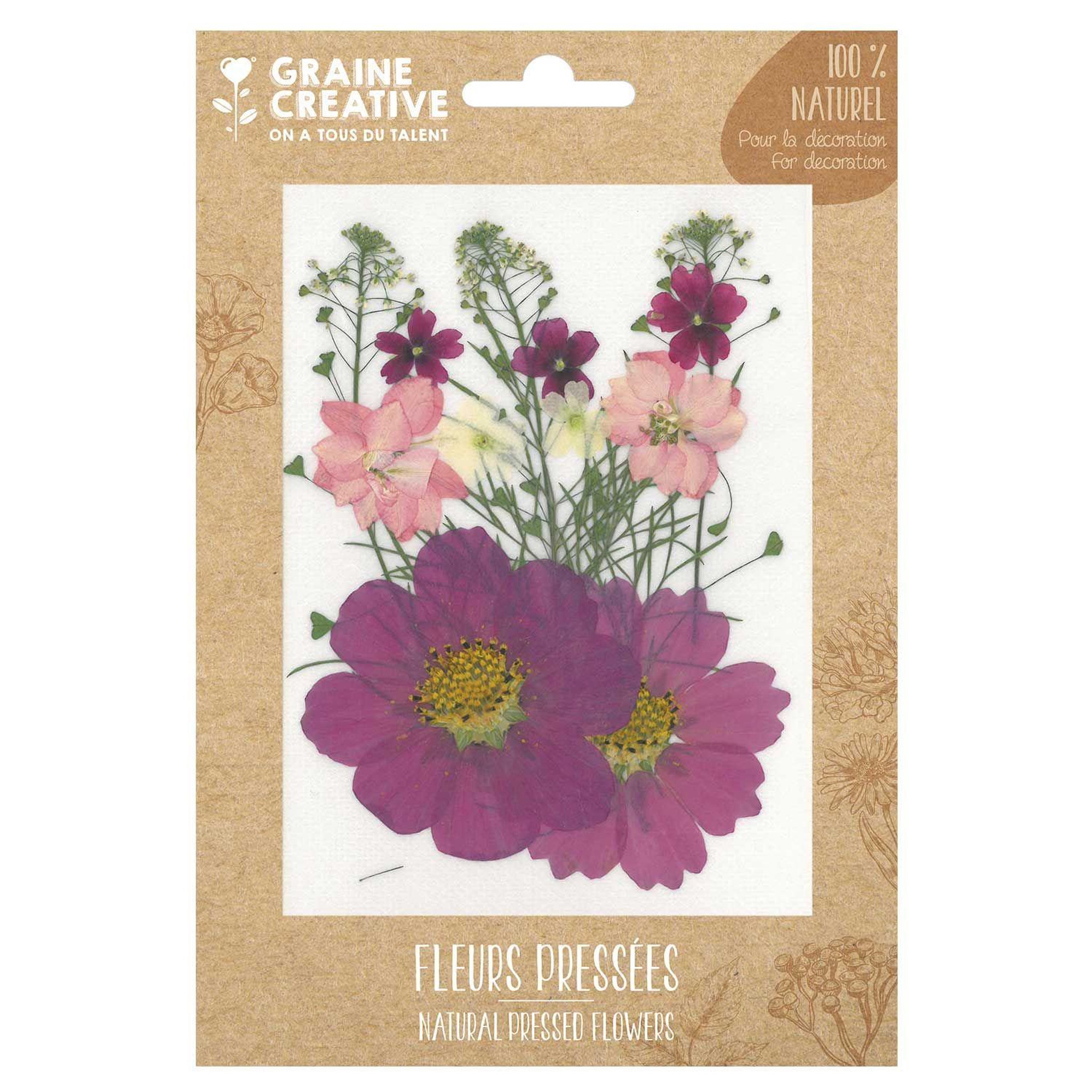 Graine créative 14 fleurs pressées - prairie parme