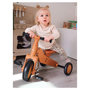 Voir la diapositive 3 : Sunny Porteur-tricycle bois 2-en-1 1000