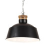 Voir la diapositive 1 : VIDAXL Lampe suspendue industrielle 32 cm Noir E27