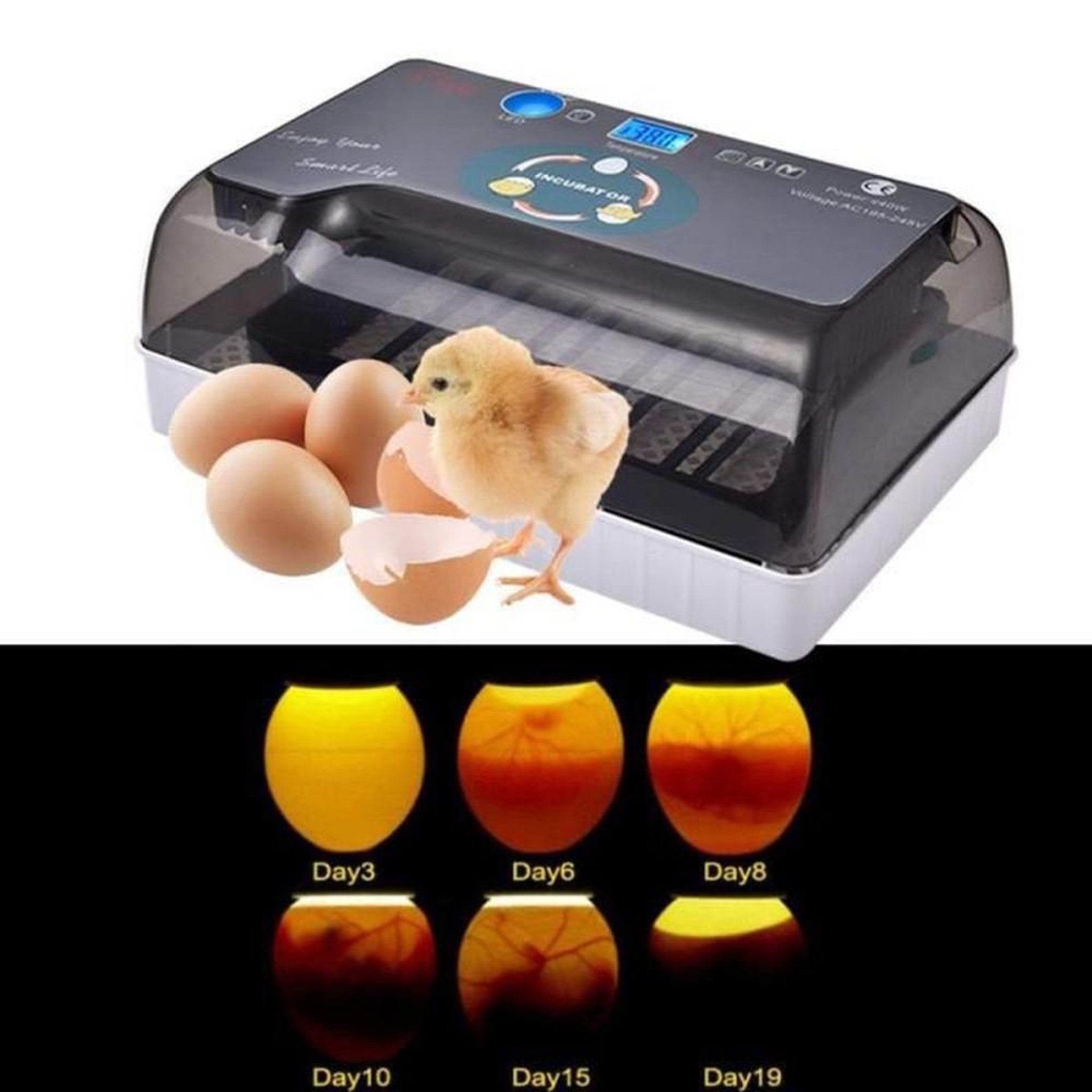 Voir la diapositive 2 : Couveuse automatique d'œufs avec éclairage LED dirigé et rotation automatique 12 œufs max, noir/gris, ABS