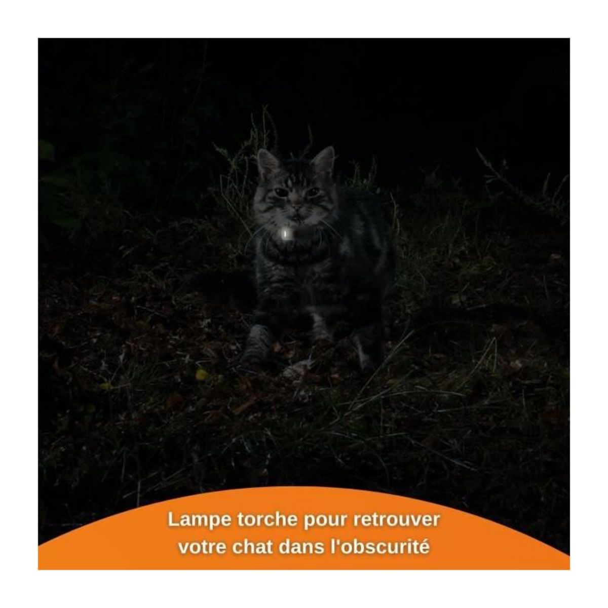 WEENECT Traceur GPS pour Chat - Weenect XS (White Edition 2023)