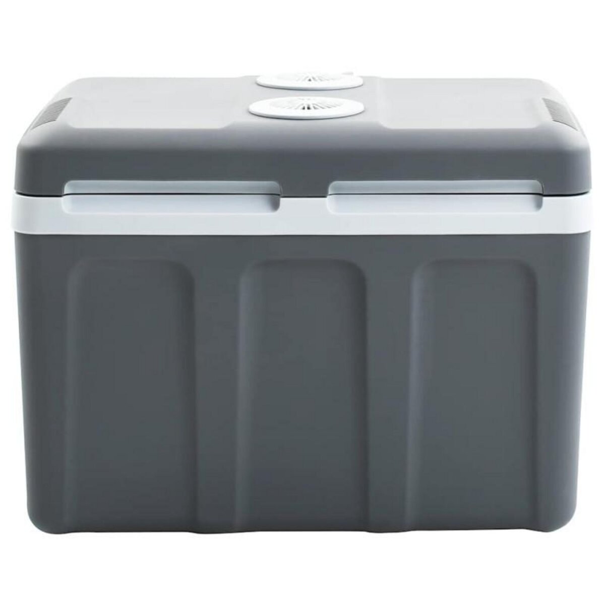 VIDAXL Glacière portable thermoélectrique 40 L 12 V 230 V E