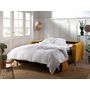 Voir la diapositive 3 : LISA DESIGN Owen - canapé 3 places convertible express couchage quotidien 140 cm matelas 12 cm en velours