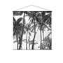 Voir la diapositive 1 : TOILINUX Toile murale imprimée palmier - 150 x 150 cm - Noir et blanc