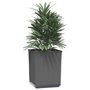 Voir la diapositive 3 : VIDAXL Jardinieres 2 pcs noir 30x30x37 cm polypropylene
