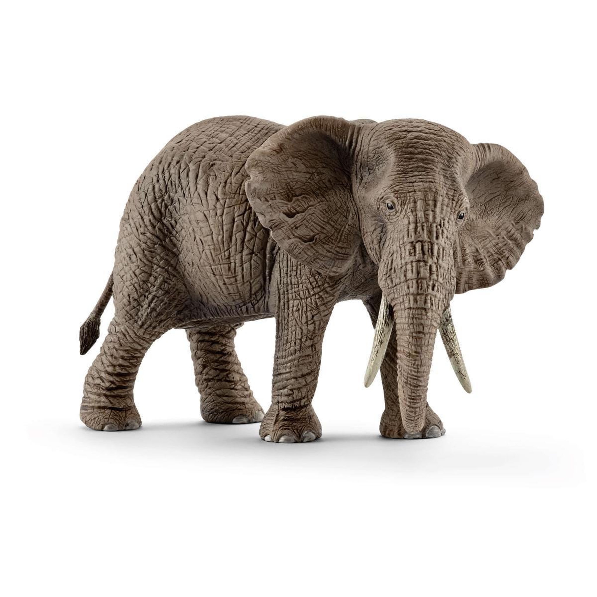 Voir la diapositive 2 : Schleich 14761 Elephant d Afrique femelle