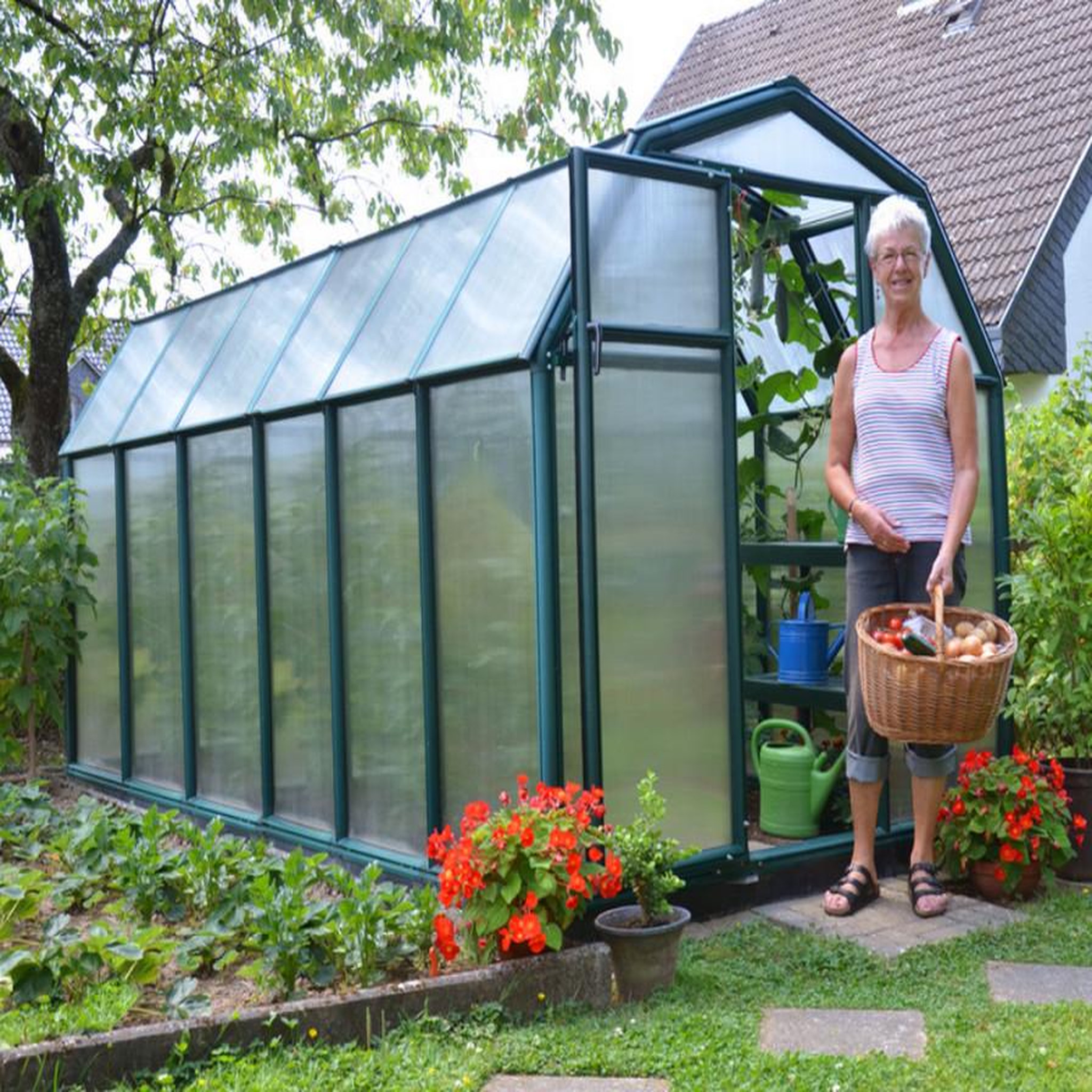 Palram Serre de jardin 7.6m² verte - 702471