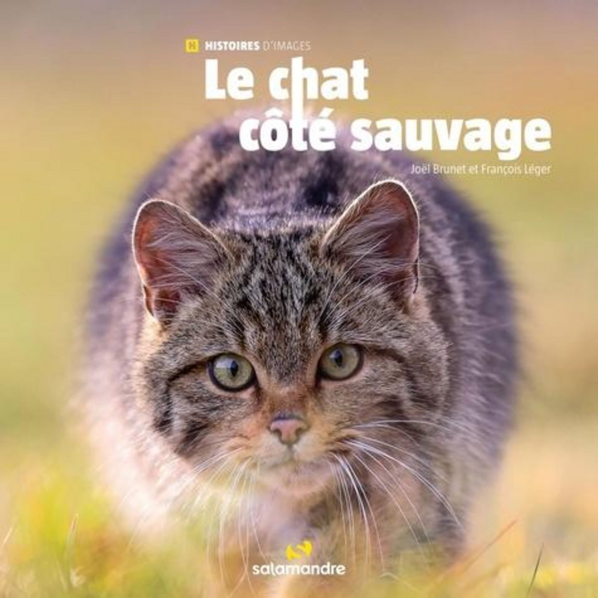 LE CHAT COTE SAUVAGE, Brunet Joël