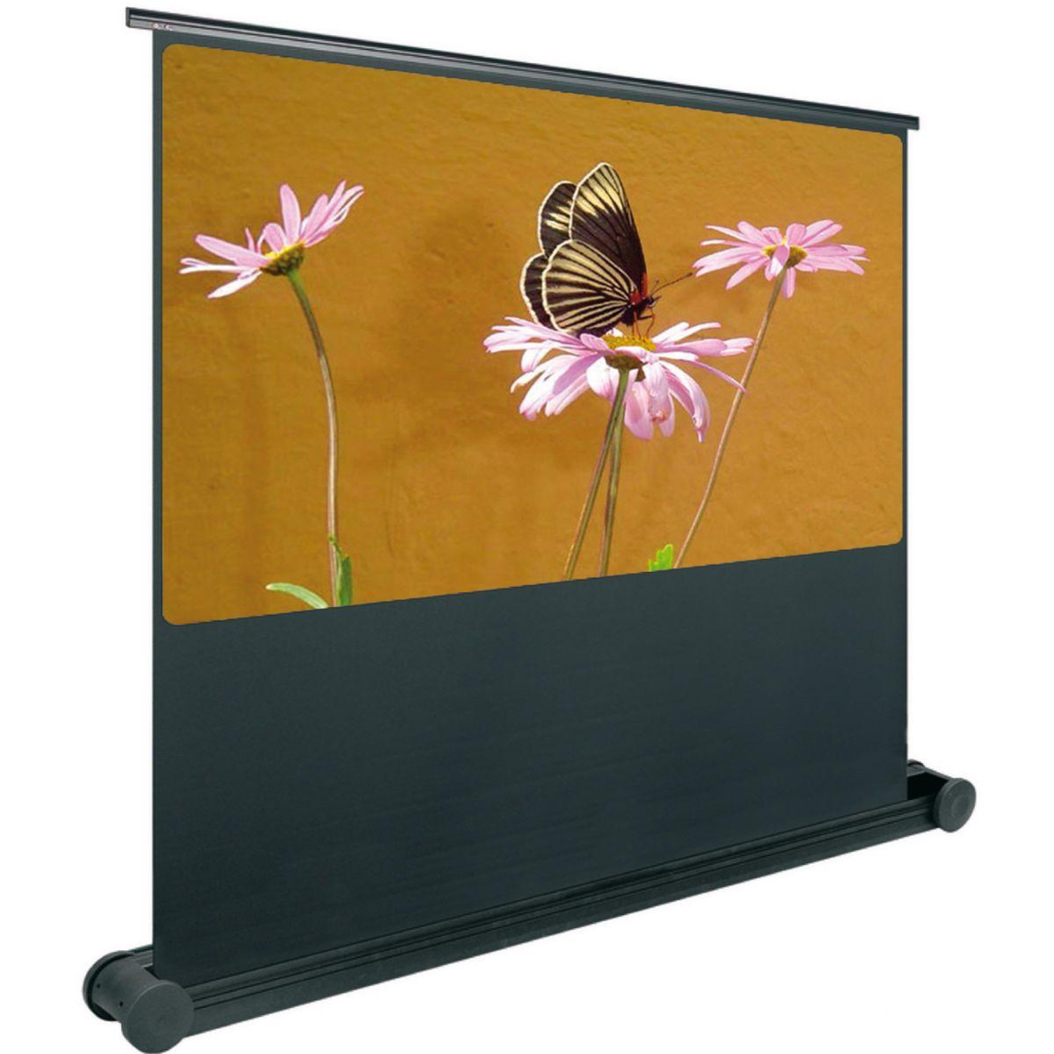Voir la diapositive 2 : Oray Ecran de projection butterfly 122x200