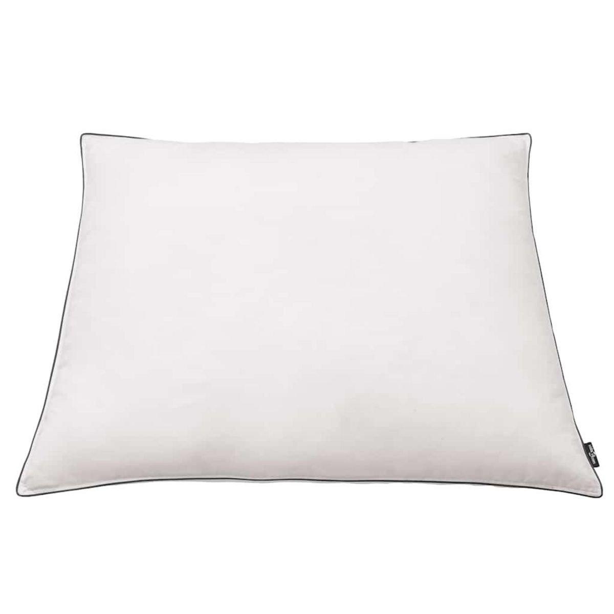VIDAXL Oreiller lot de 2 Remplissage de duvet leger 80 x 80 cm Blanc